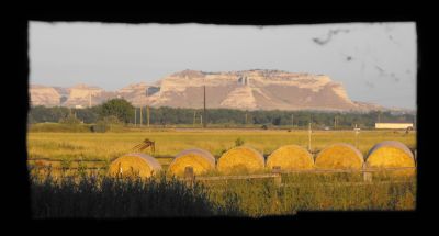 View from barn